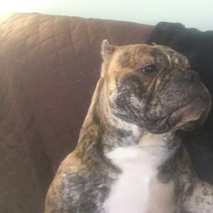 Meet your Posher, Sandy